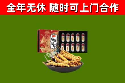 金秀县回收冬虫夏草价格