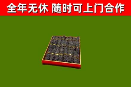 金秀县回收海参